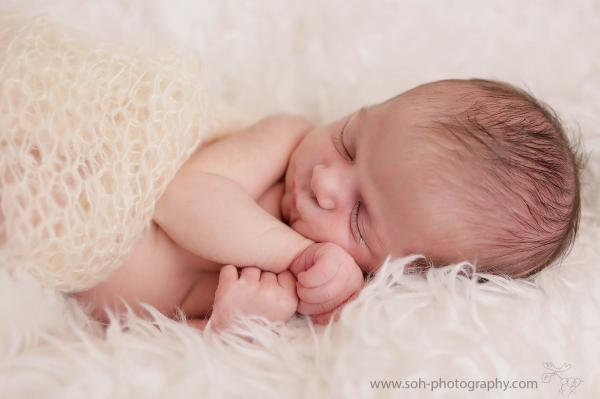 Neugeborenen Fotograf Bruck Leitha Neusiedl фотограф новорожденных Вена newborn photographer vienna