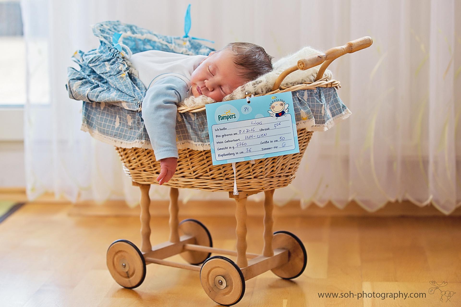 Neugeborenen Fotoshooting Bruck an der Leitha und Wien – 2