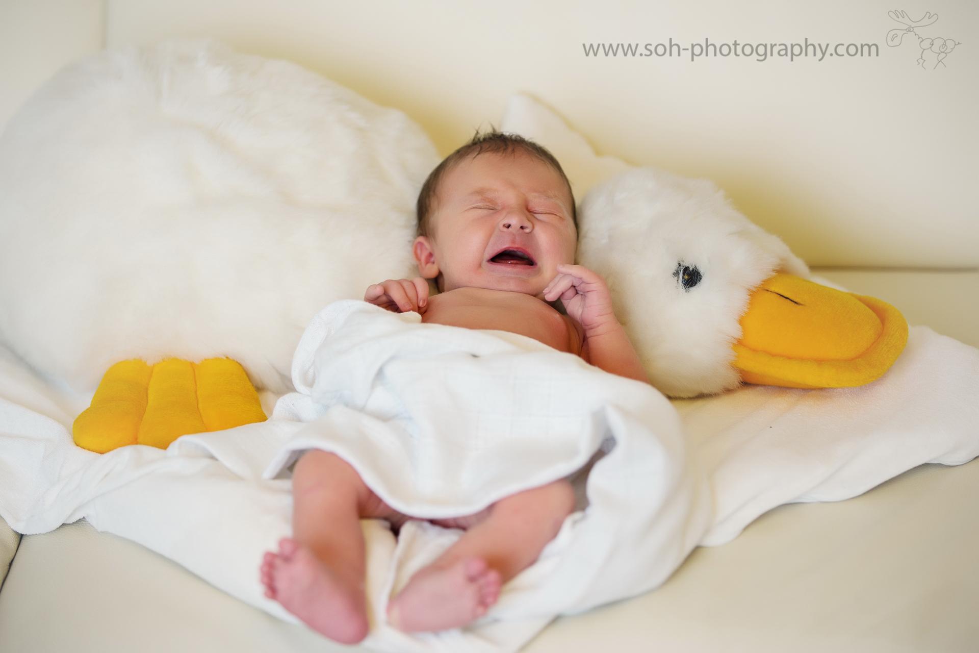 Neugeborenen Fotoshooting Bruck an der Leitha und Wien – 8