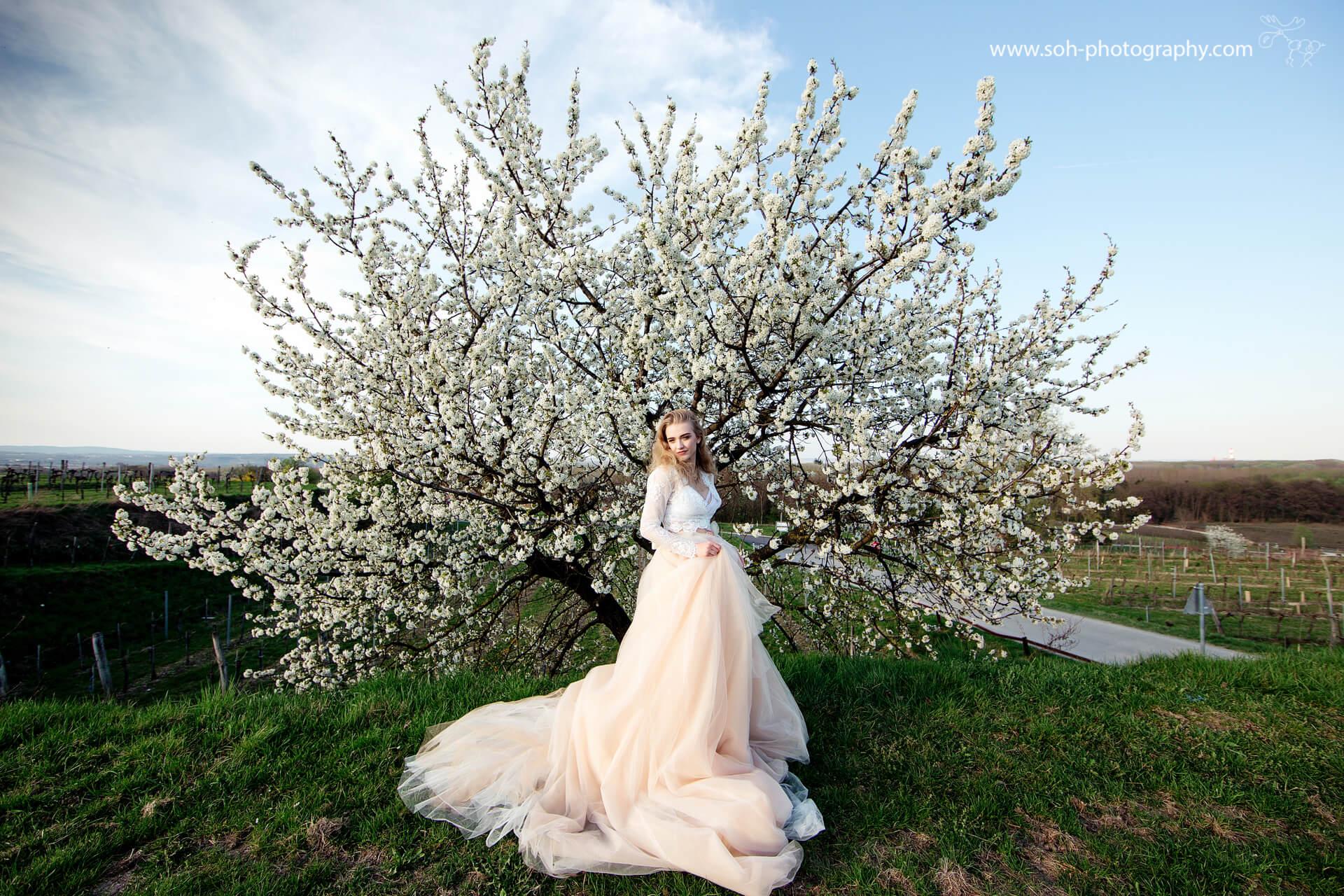 Hochzeit Wachau Hochzeitsfotograf Bruck an der Leitha – 2