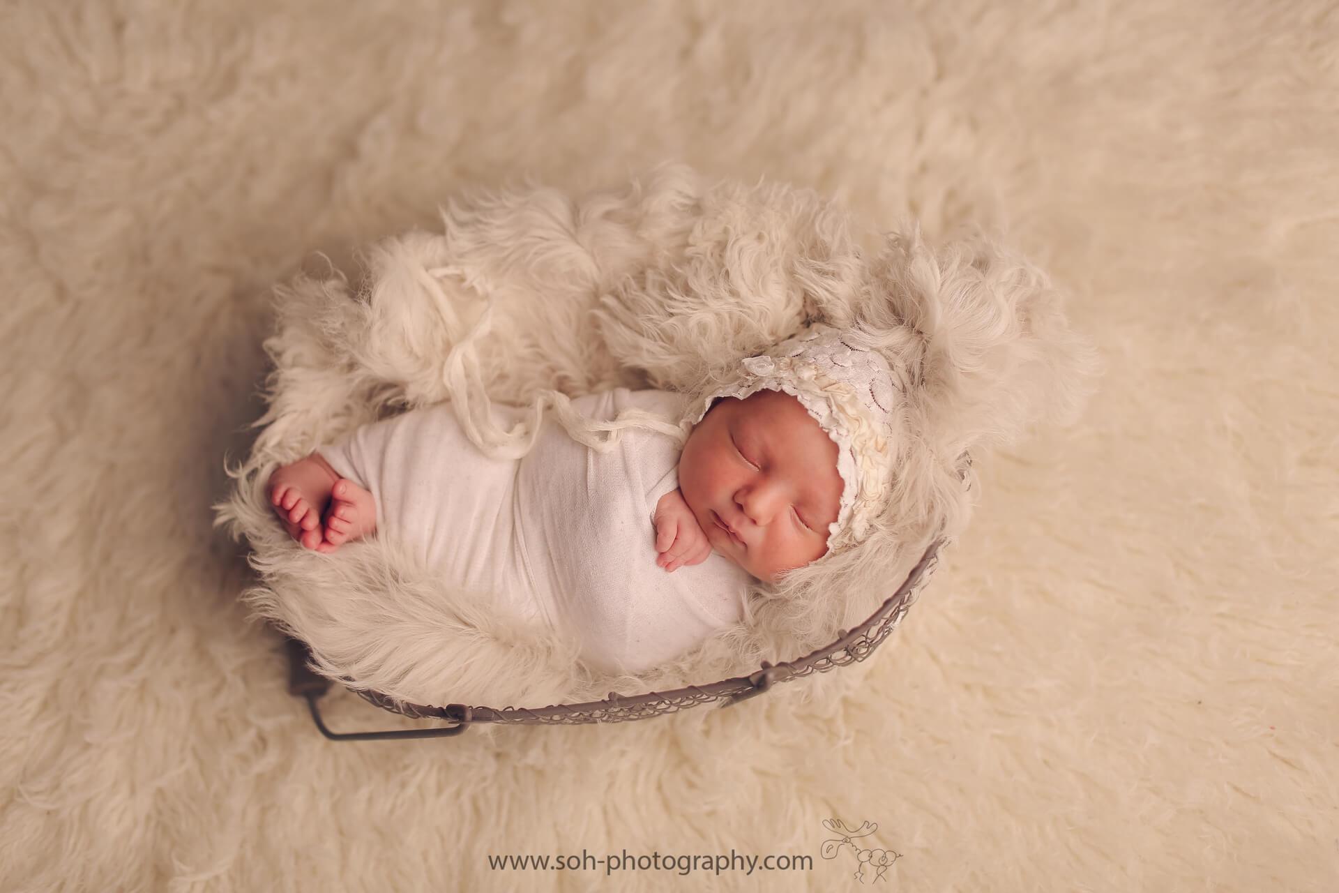 Neugeborenen Fotoshooting in Bruck an der Leitha und Wien – 3