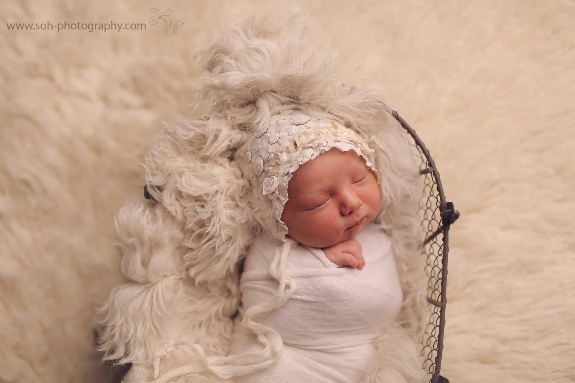 Neugeborenen Fotoshooting in Bruck an der Leitha und Wien – 4
