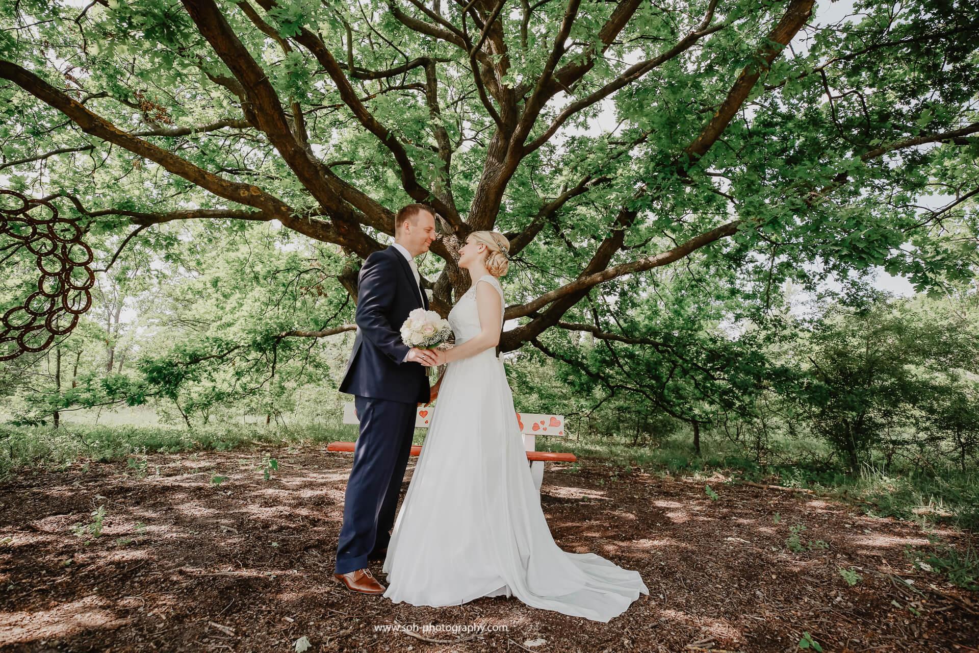 hochzeitsfotograf burgenland vila vita – 21