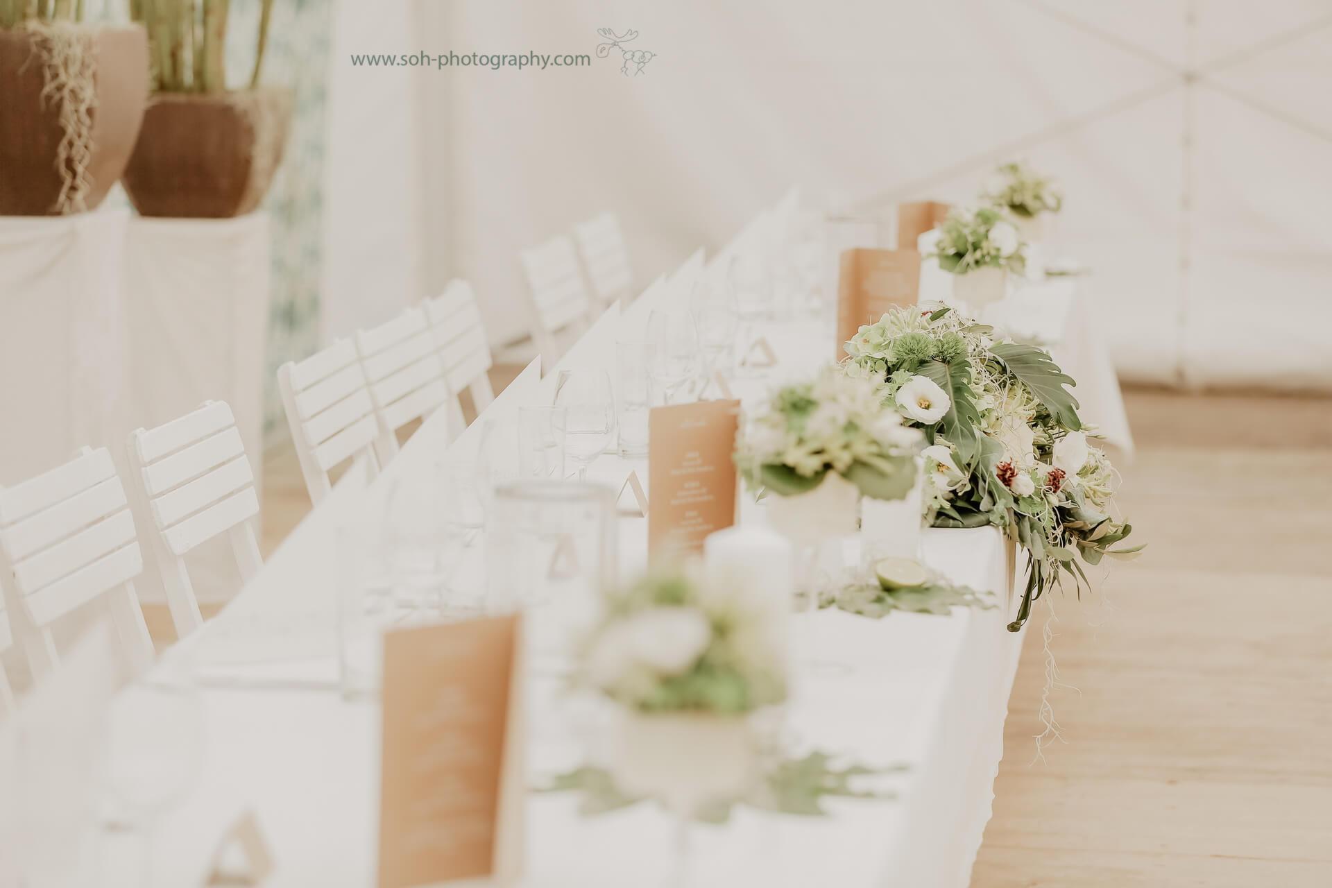 hochzeitsfotograf bruck leitha hochzeit trautmannsdorf gartenhochzeit – 4