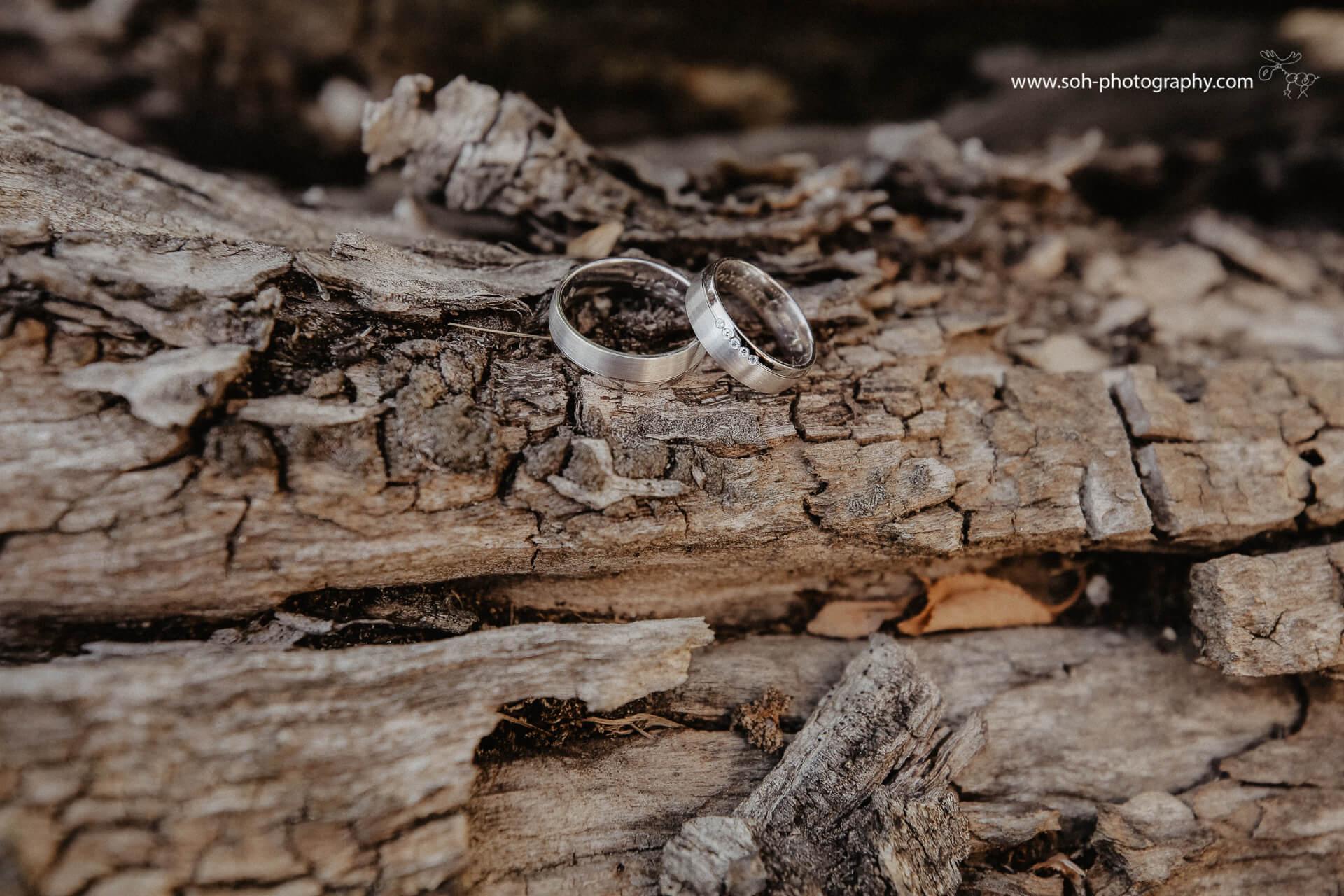 hochzeitsfotograf bruck leitha hochzeit weiden am see hochzeitsfotografwien – 19