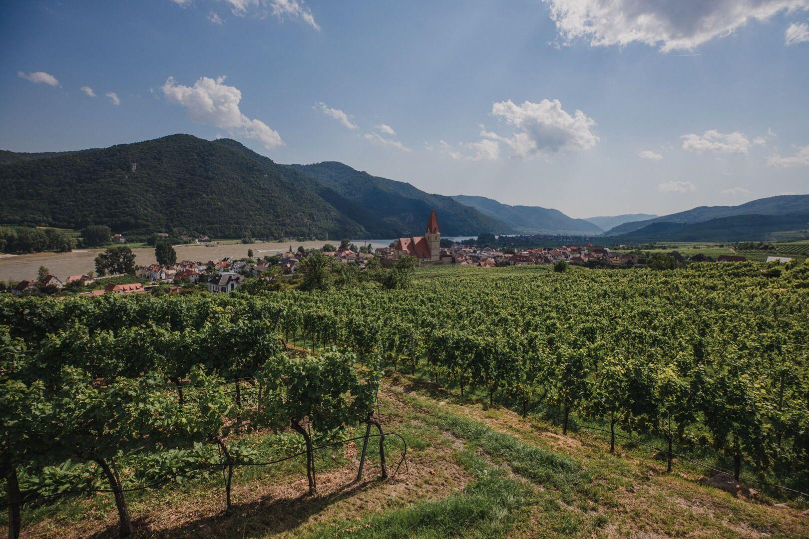 Hochzeit Fotoshooting in Melk an der Wachau Fotografin – 14