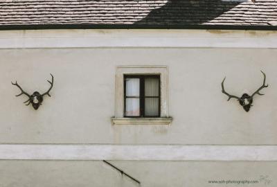 hochzeitsfotograf bruck leitha hochzeit trautmannsdorf gartenhochzeit