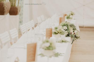 hochzeitsfotograf bruck leitha hochzeit trautmannsdorf gartenhochzeit