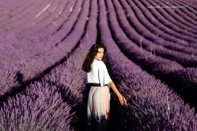 lavendel provence fotograf bruck an der leitha 