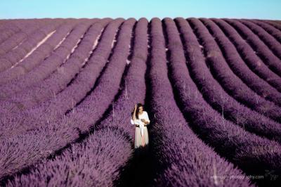 lavendel provence fotograf bruck an der leitha 