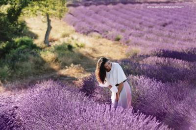 lavendel provence fotograf bruck an der leitha 