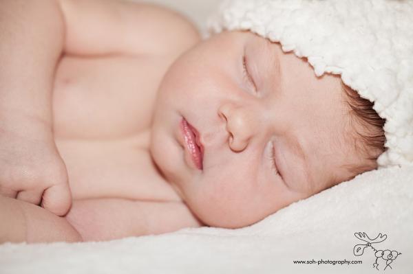  Neugeborenenfotografie Wien  Neugeborenenfotografie Bruck Leitha Babyfoto